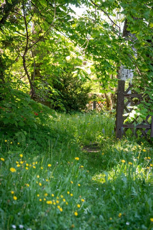 Landhauswohnung Mit Wildromantischem Garten フュッセン エクステリア 写真
